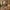 Landskapsaffisch Rom