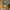 Paysage Affiche Nice